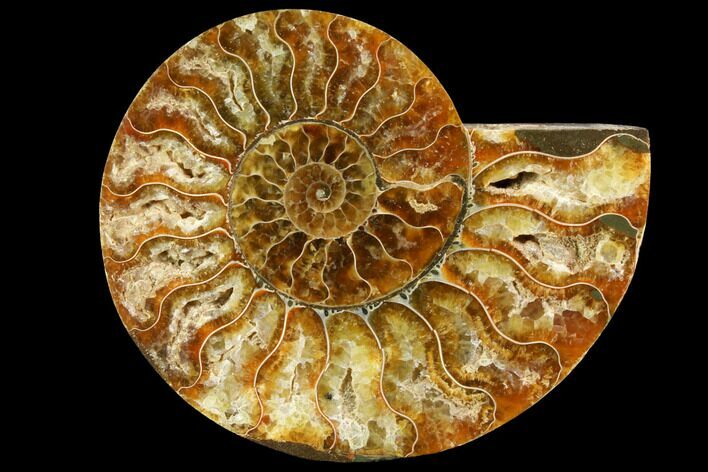 Agatized Ammonite Fossil (Half) - Madagascar #116799